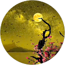 Kazim Khan Afridi profile picture